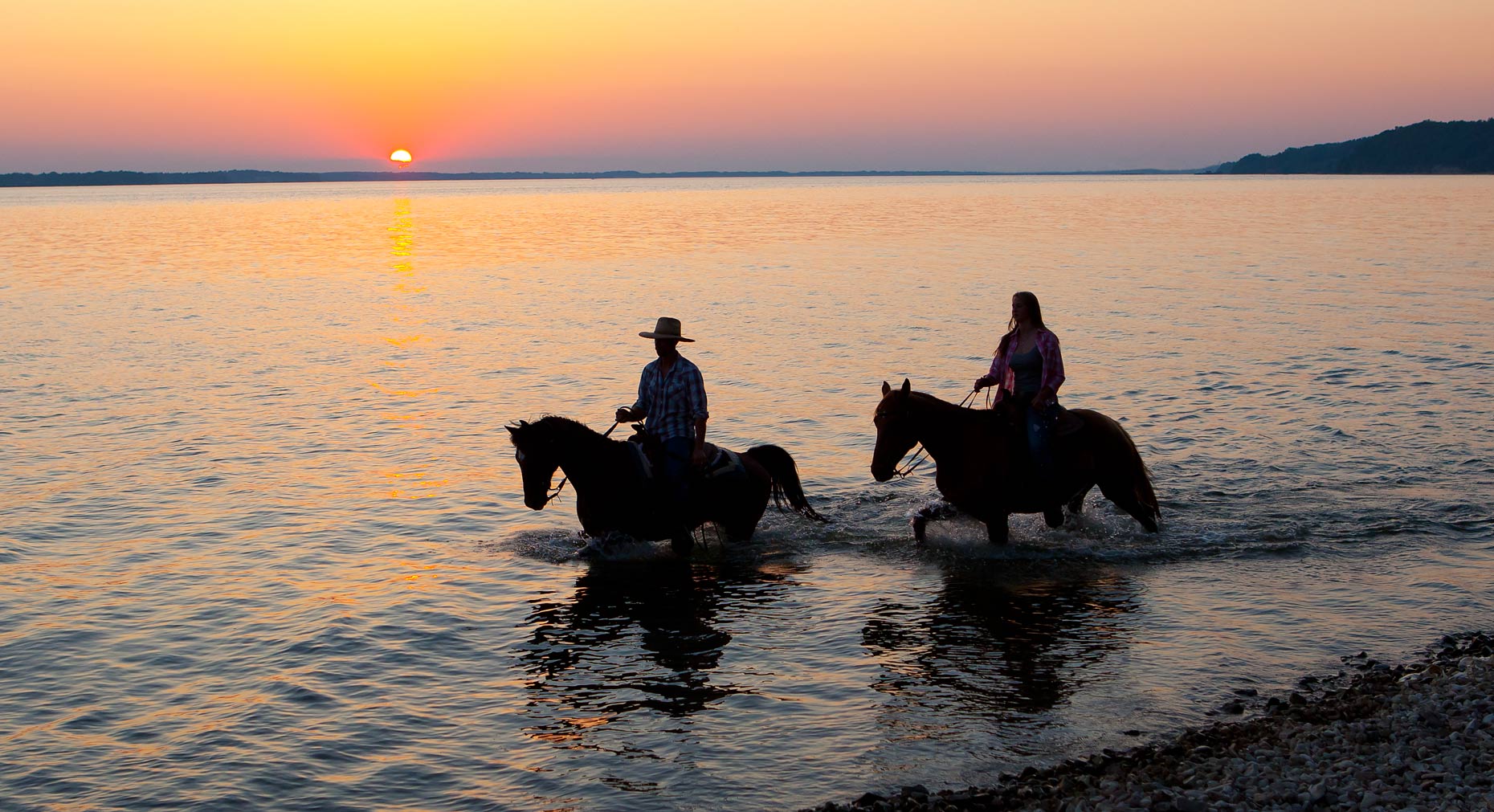 Horses_Walking_In_Lake